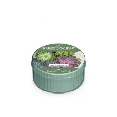Kringle Candle® Succulents mintagyertya