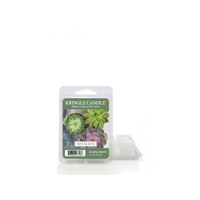 Kringle Candle® Succulents mini viasz