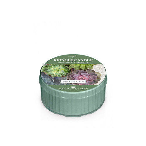 Kringle Candle® Succulents mintagyertya 42 g