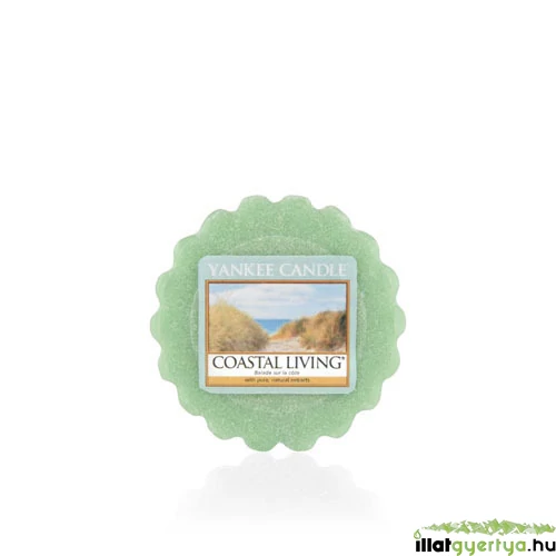 Coastal Living Tarts® mini viasz