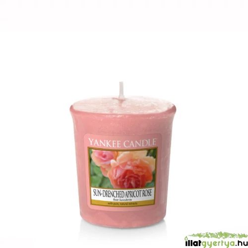 Sun-drenched Apricot Rose mintagyertya