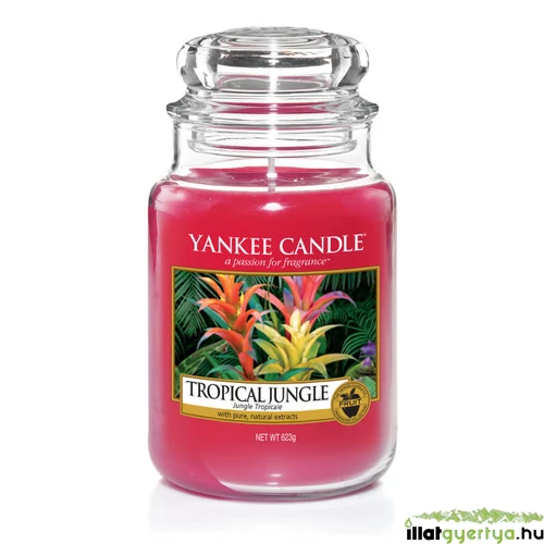 Tropical Jungle klasszikus nagy üveggyertya