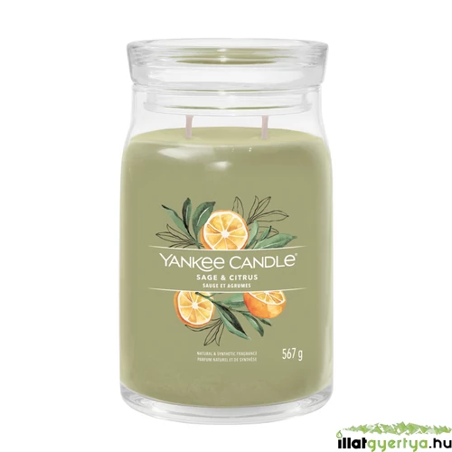Yankee Candle® Sage & Citrus Signature nagy üveggyertya