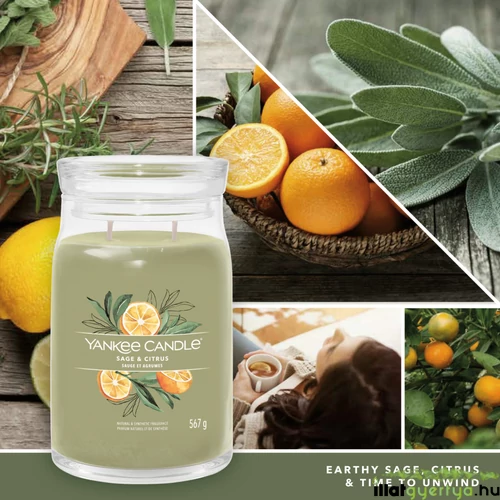 Sage & Citrus Signature nagy üveggyertya 567 g