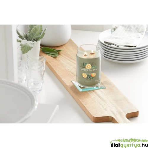 Sage & Citrus Signature nagy üveggyertya 567 g
