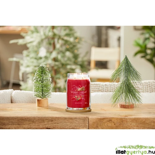 Sparkling Cinnamon Signature nagy üveggyertya 567 g