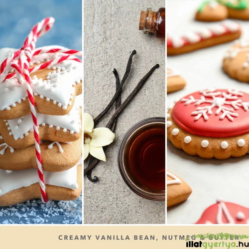 Christmas Cookie Signature nagy üveggyertya 567 g