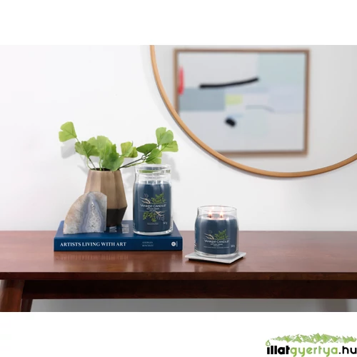 Bayside Cedar Signature közepes üveggyertya 368 g