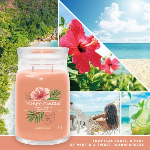 Yankee Candle® Tropical Breeze Signature nagy üveggyertya 567 g
