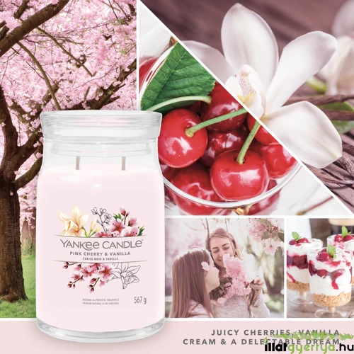 Pink Cherry & Vanilla Signature nagy üveggyertya 567 g