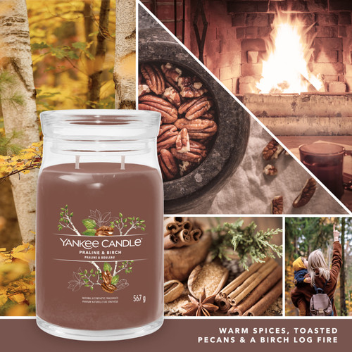 Yankee Candle® Praline & Birch Signature nagy üveggyertya 567 g