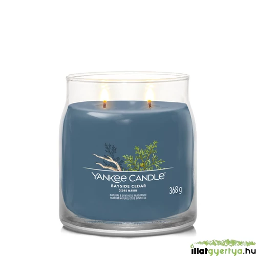Bayside Cedar Signature közepes üveggyertya 368 g