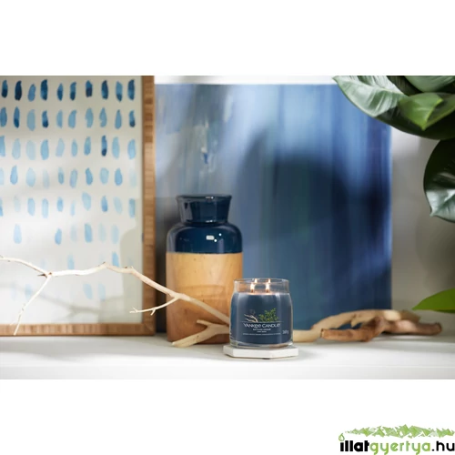 Bayside Cedar Signature közepes üveggyertya 368 g