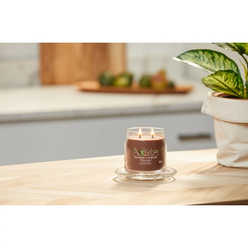 Yankee Candle® Praline & Birch Signature közepes üveggyertya 368 g