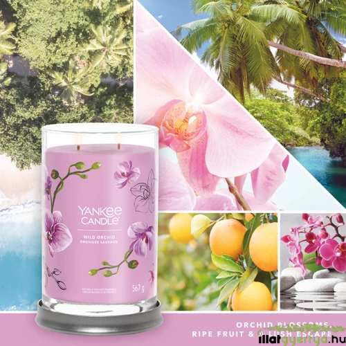 Wild Orchid Signature nagy poharas gyertya 567 g