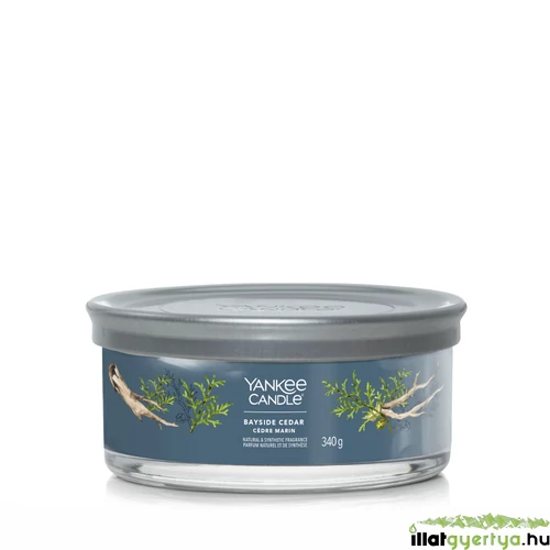 Yankee Candle® Bayside Cedar Signature 5 kanócos poharas gyertya