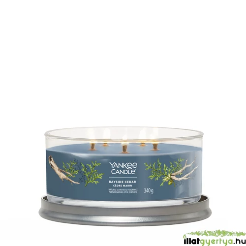 Bayside Cedar Signature 5 kanócos poharas gyertya 340 g