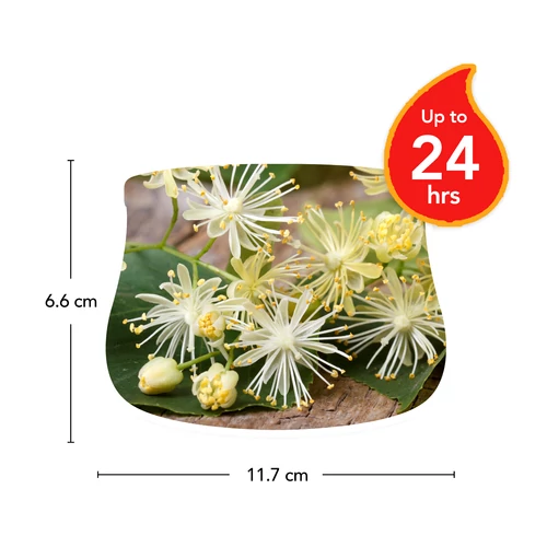 Linden Tree Blossoms Outdoor közepes gyertya 283 g