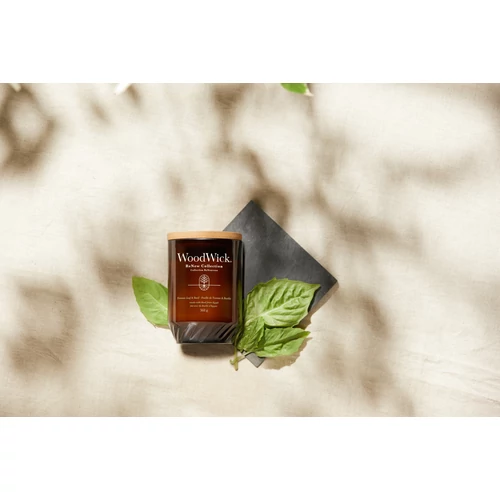 WoodWick® Tomato Leaf & Basil ReNew nagy üveggyertya 368 g