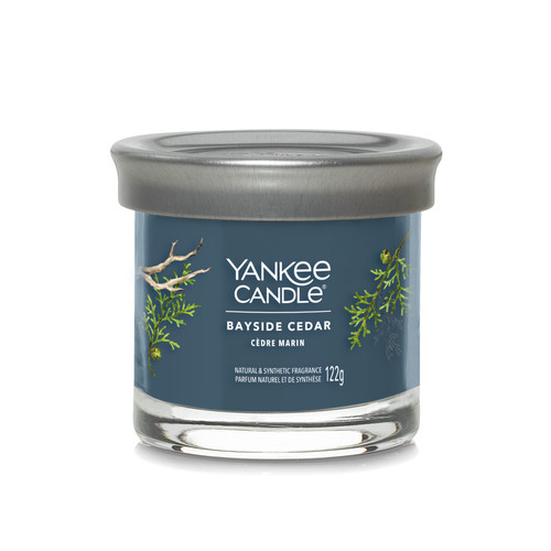 Yankee Candle® Bayside Cedar Signature kis poharas gyertya 122 g