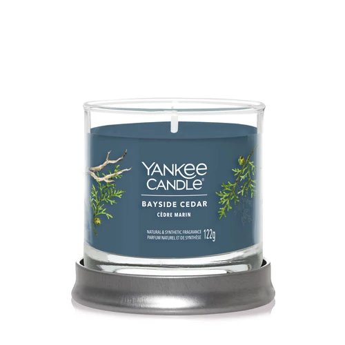 Yankee Candle® Bayside Cedar Signature kis poharas gyertya 122 g