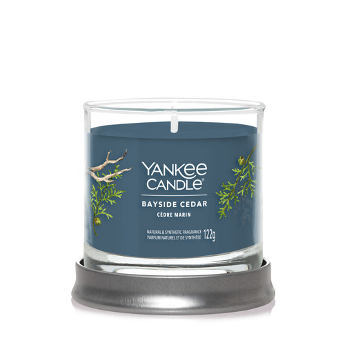 Yankee Candle® Bayside Cedar Signature kis poharas gyertya 122 g
