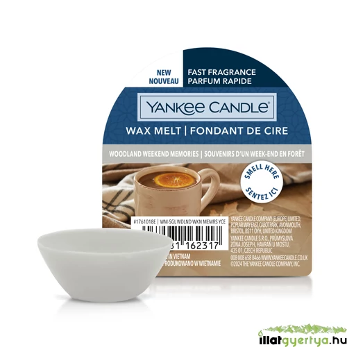 Yankee Candle® Woodland Weekend Memories mini viasz