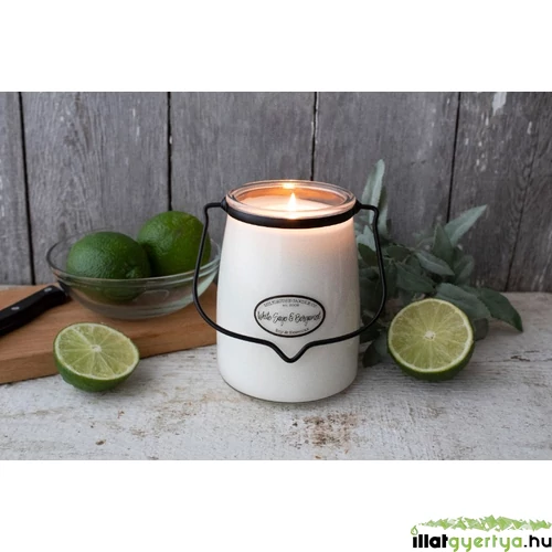 White Sage & Bergamot Creamery nagy üveggyertya 623 g