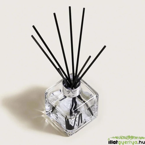 Delicate White Musk 100 ml diffúzor