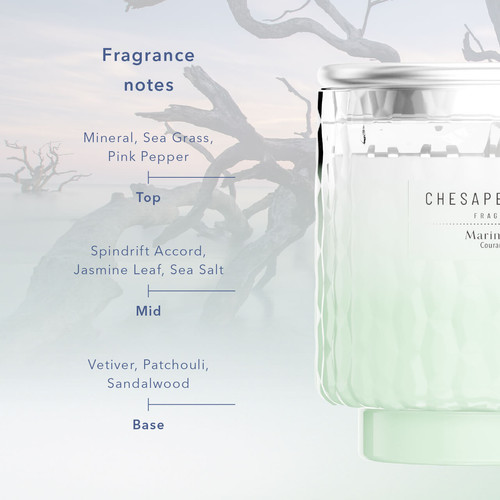 Chesapeake Bay Candle® Marine Drift nagy üveggyertya 312 g
