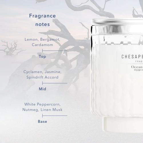 Chesapeake Bay Candle® Ocean Retreat közepes üveggyertya 227 g