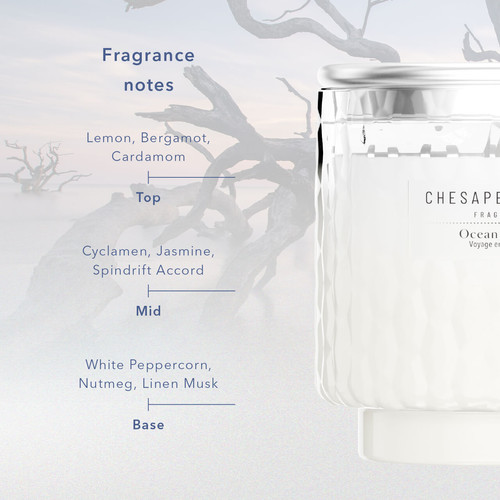 Chesapeake Bay Candle® Ocean Retreat diffúzor 150 ml Chesapeake Bay Candle® Ocean Retreat diffúzor 150 ml