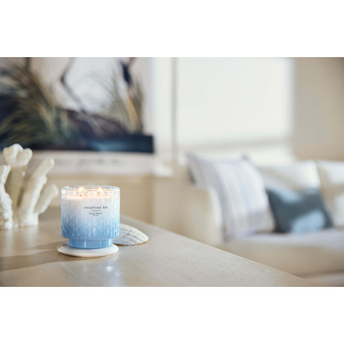 Chesapeake Bay Candle® Serene Waters nagy üveggyertya 312 g Chesapeake Bay Candle® Serene Waters nagy üveggyertya 312 g