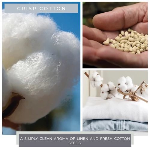 Cheerful Candle® Crisp Cotton mini viasz 55 g