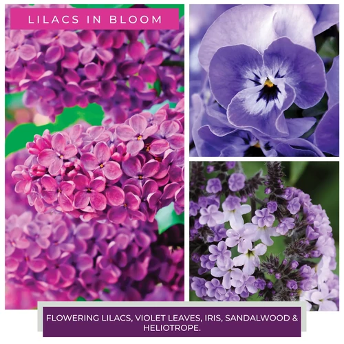 Cheerful Candle® Lilacs in Bloom mini viasz 55 g