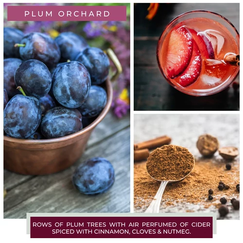Cheerful Candle® Plum Orchard közepes üveggyertya 454 g