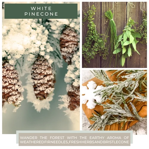 Cheerful Candle® White Pinecone közepes üveggyertya 454 g