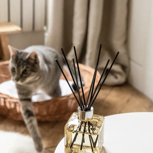 Maison Berger Paris® My Home Free from Pet Odours diffúzor 100 ml