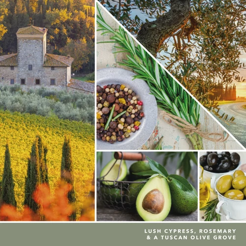 Yankee Candle® Olive & Cypress Signature közepes üveggyertya 368 g