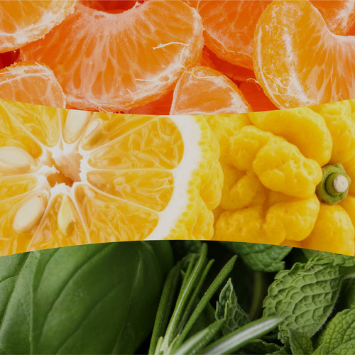 WoodWick® Tangerine & Citron közepes üveggyertya 275 g