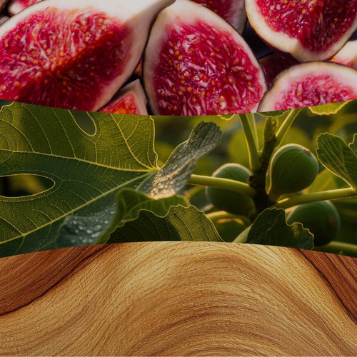 WoodWick® Verdant Fig közepes üveggyertya 275 g WoodWick® Verdant Fig közepes üveggyertya 275 g