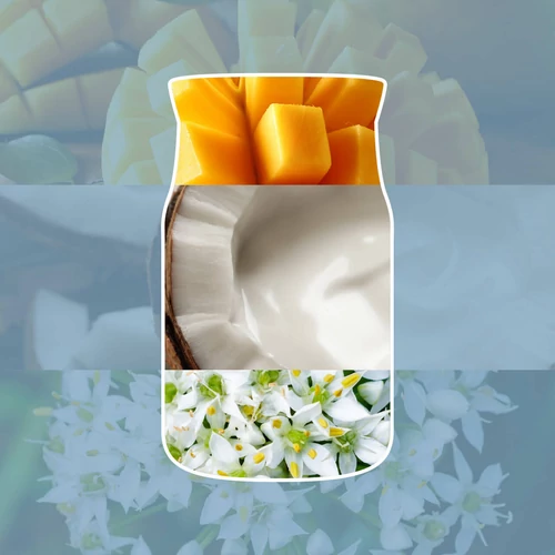 Yankee Candle® Salted Coconut üveges mintagyertya 37 g
