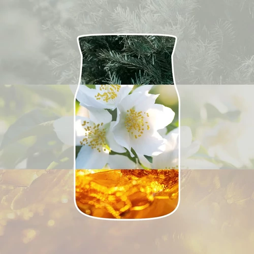 Yankee Candle® Silver Birch Signature kis üveggyertya 110 g