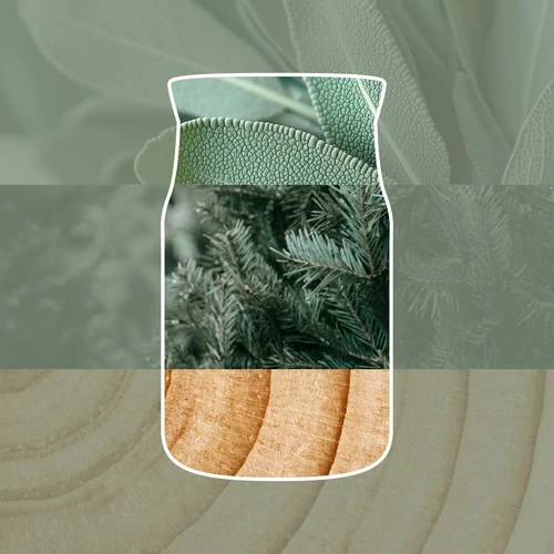 Yankee Candle® Silver Sage & Pine Signature kis üveggyertya 110 g