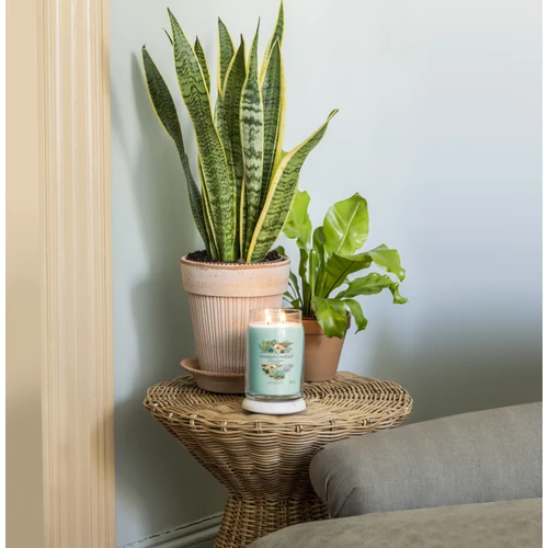 Yankee Candle® Aloe & Agave Signature nagy üveggyertya 567 g