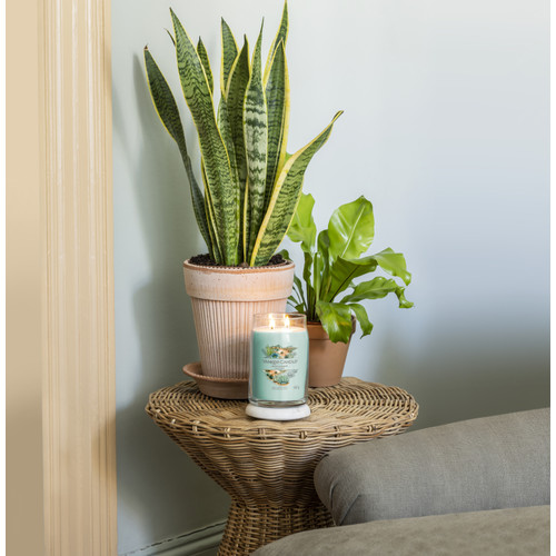 Yankee Candle® Aloe & Agave Signature nagy üveggyertya 567 g