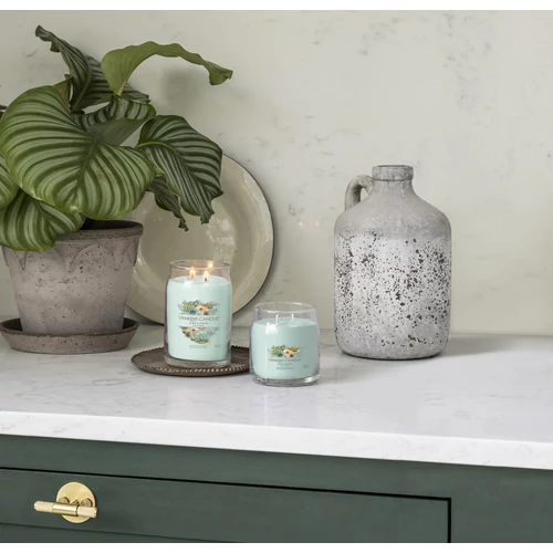 Yankee Candle® Aloe & Agave Signature nagy üveggyertya 567 g