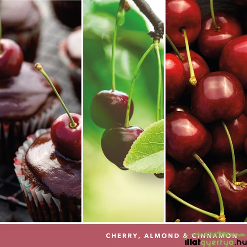 Black Cherry Signature 5 kanócos poharas gyertya 340 g