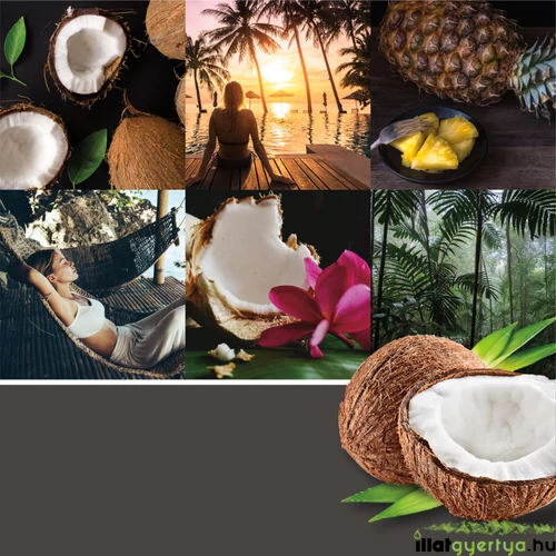 Black Coconut Signature nagy poharas gyertya 567 g