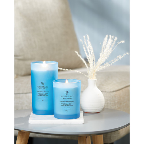 Chesapeake Bay Candle® confidence + freedom (oak moss amber) közepes üveggyertya 250 g